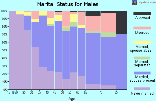 Zip code 02140 marital status for males