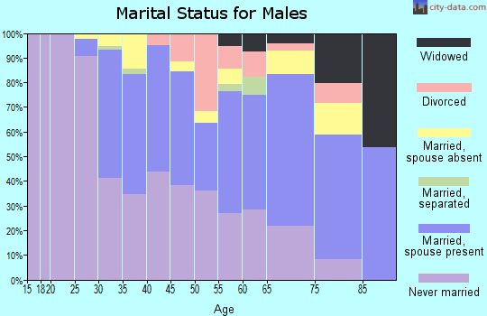 Zip code 02141 marital status for males