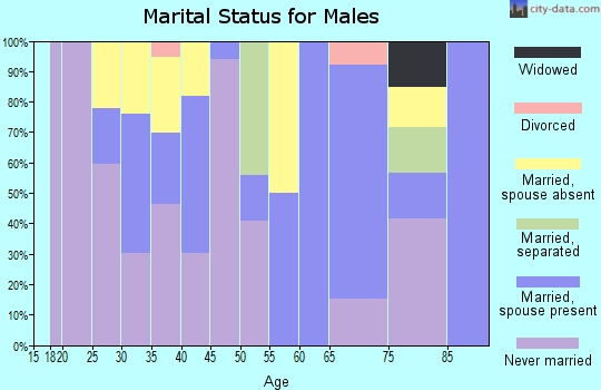 Zip code 02142 marital status for males