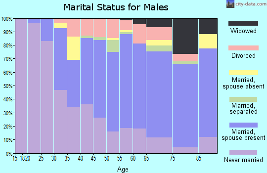 Zip code 02152 marital status for males