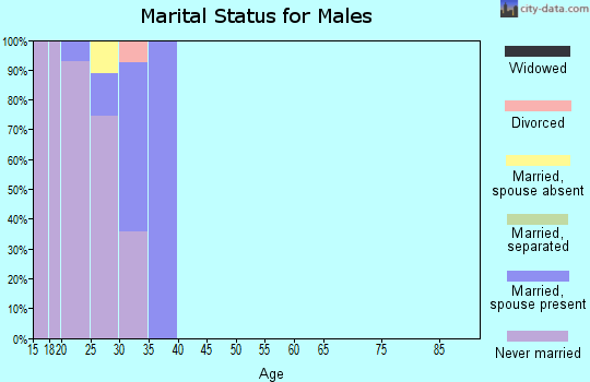 Zip code 02163 marital status for males
