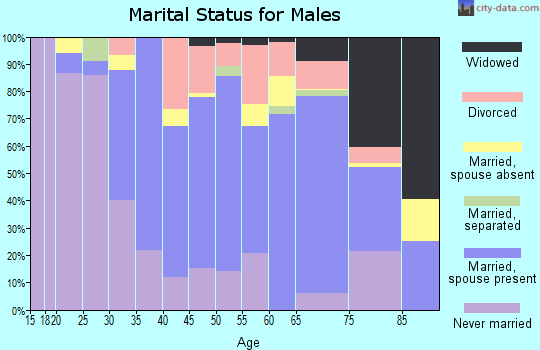 Zip code 02190 marital status for males