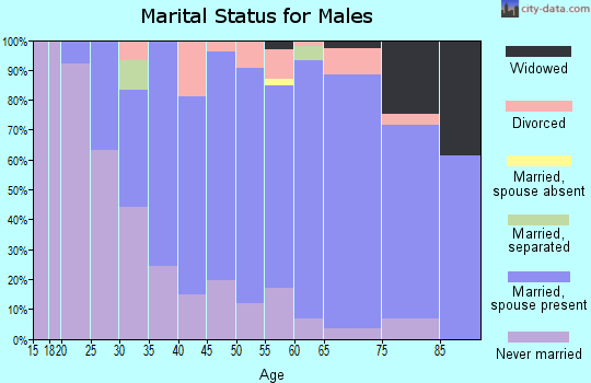 Zip code 02191 marital status for males