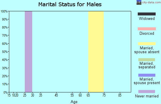 Zip code 02222 marital status for males