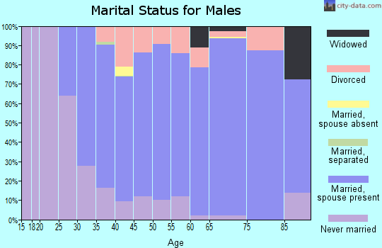 Zip code 02333 marital status for males