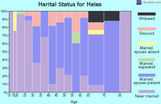 Zip code 02338 marital status for males