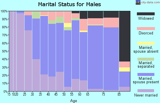Zip code 02346 marital status for males