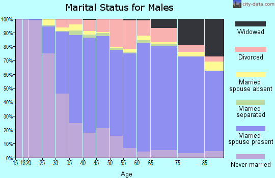 Zip code 02360 marital status for males