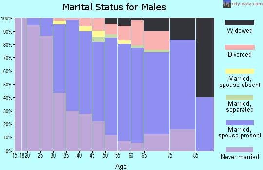 Zip code 02382 marital status for males