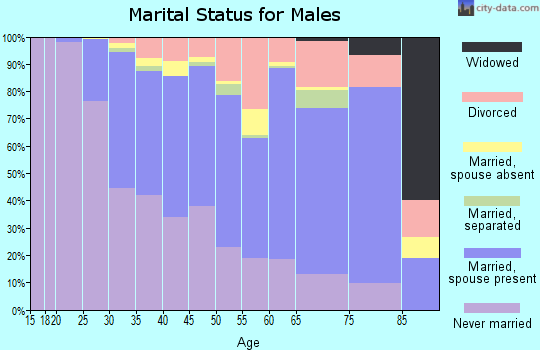Zip code 02453 marital status for males