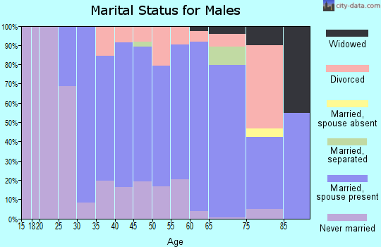 Zip code 02460 marital status for males