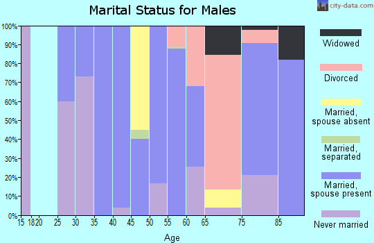 Zip code 02462 marital status for males