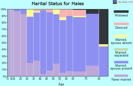 Zip code 02465 marital status for males