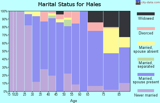 Zip code 02466 marital status for males