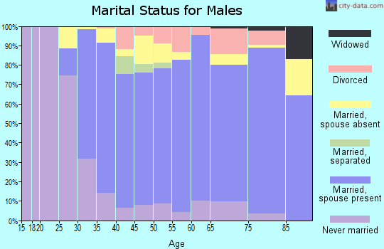 Zip code 02467 marital status for males