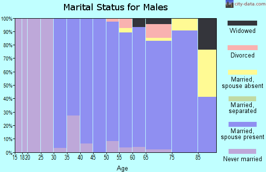 Zip code 02468 marital status for males
