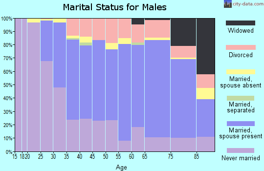 Zip code 02472 marital status for males