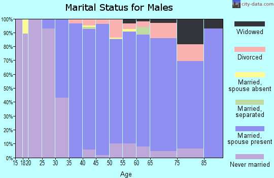 Zip code 02481 marital status for males