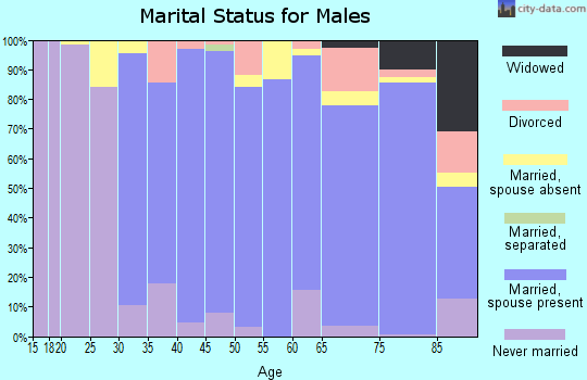 Zip code 02482 marital status for males