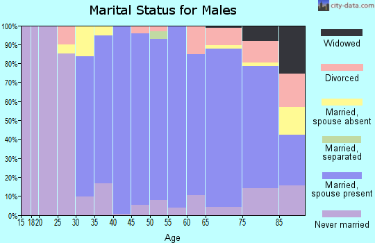Zip code 02493 marital status for males