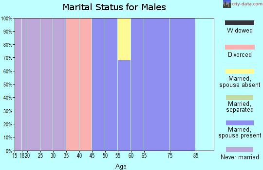 Zip code 02534 marital status for males