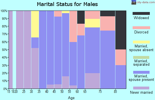 Zip code 02535 marital status for males