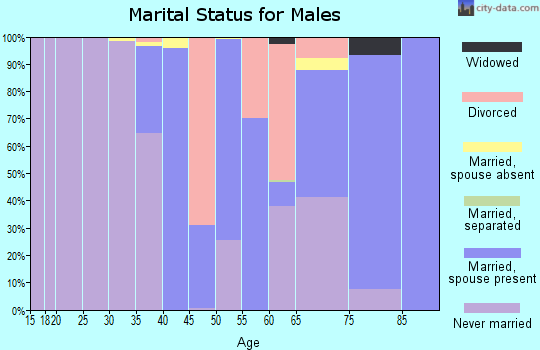 Zip code 02539 marital status for males