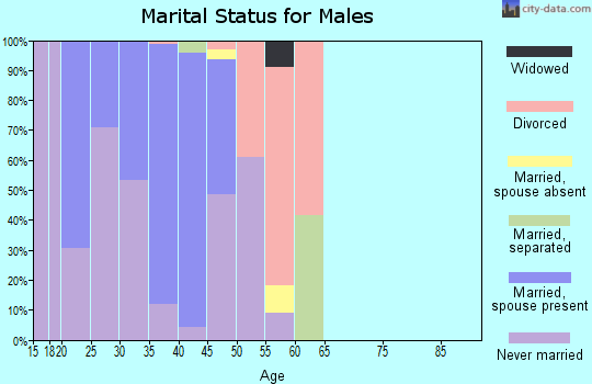 Zip code 02542 marital status for males