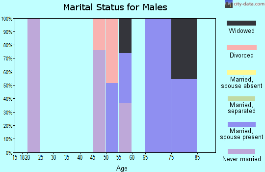 Zip code 02558 marital status for males
