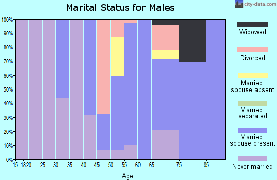 Zip code 02568 marital status for males