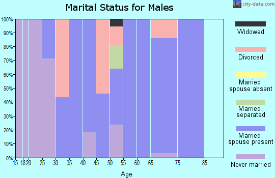 Zip code 02575 marital status for males