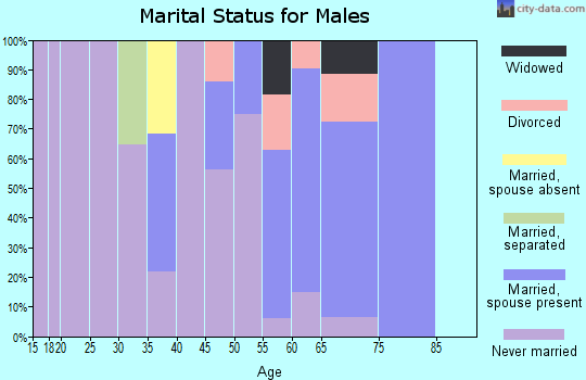 Zip code 02667 marital status for males