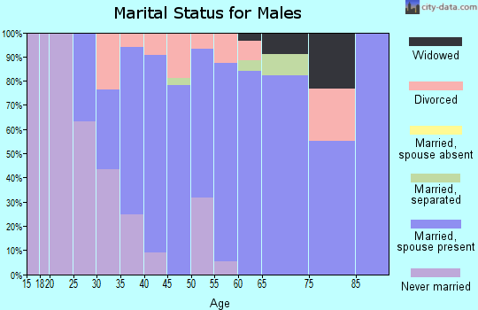 Zip code 02702 marital status for males