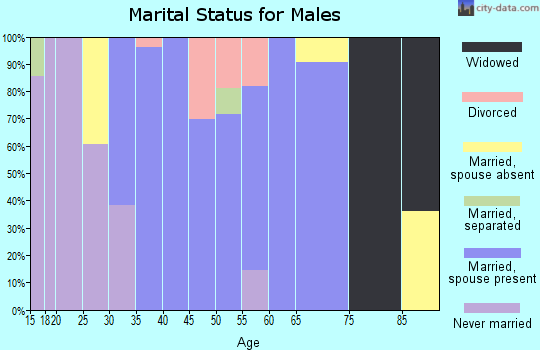 Zip code 02715 marital status for males