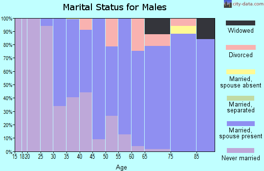 Zip code 02738 marital status for males