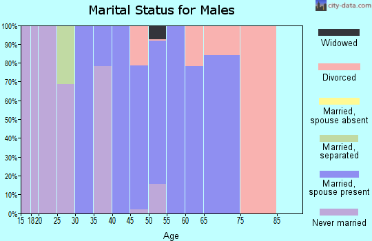 Zip code 02763 marital status for males