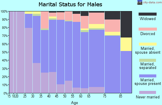 Zip code 02766 marital status for males