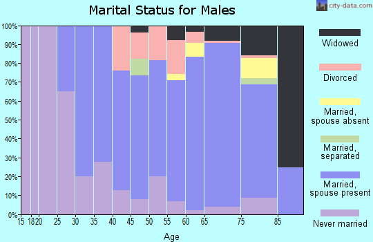Zip code 02767 marital status for males