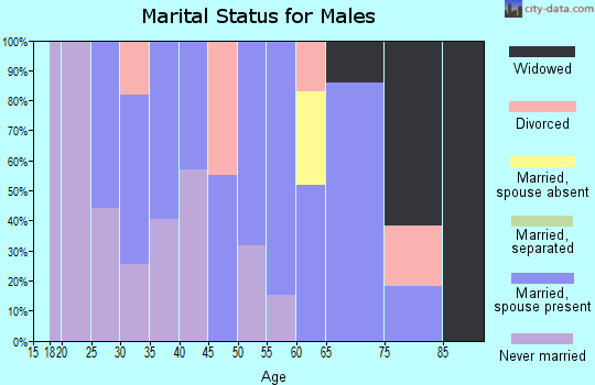 Zip code 02804 marital status for males