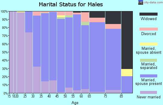 Zip code 02806 marital status for males