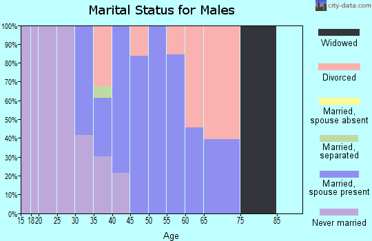 Zip code 02808 marital status for males