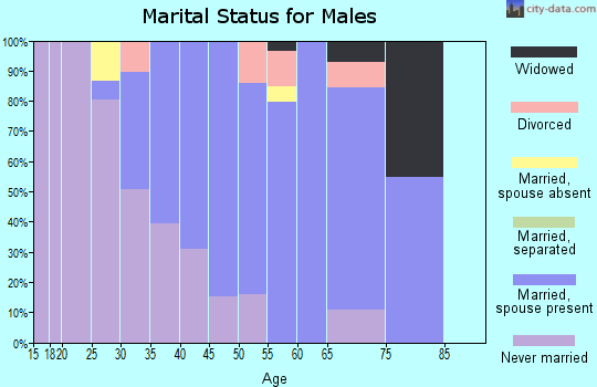Zip code 02817 marital status for males