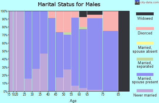 Zip code 02822 marital status for males
