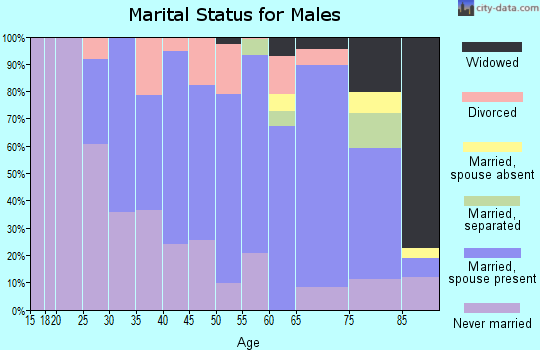 Zip code 02828 marital status for males