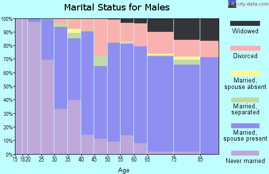 Zip code 02889 marital status for males