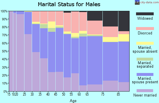 Zip code 02895 marital status for males