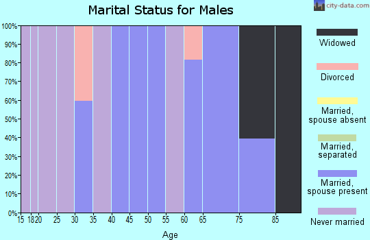 Zip code 02898 marital status for males