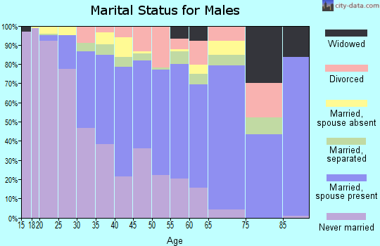 Zip code 02905 marital status for males