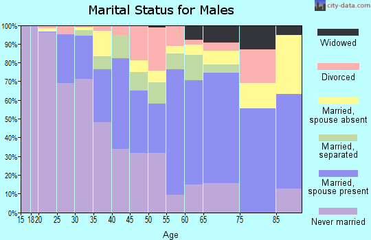 Zip code 02907 marital status for males