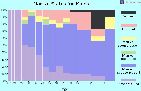 Zip code 02910 marital status for males